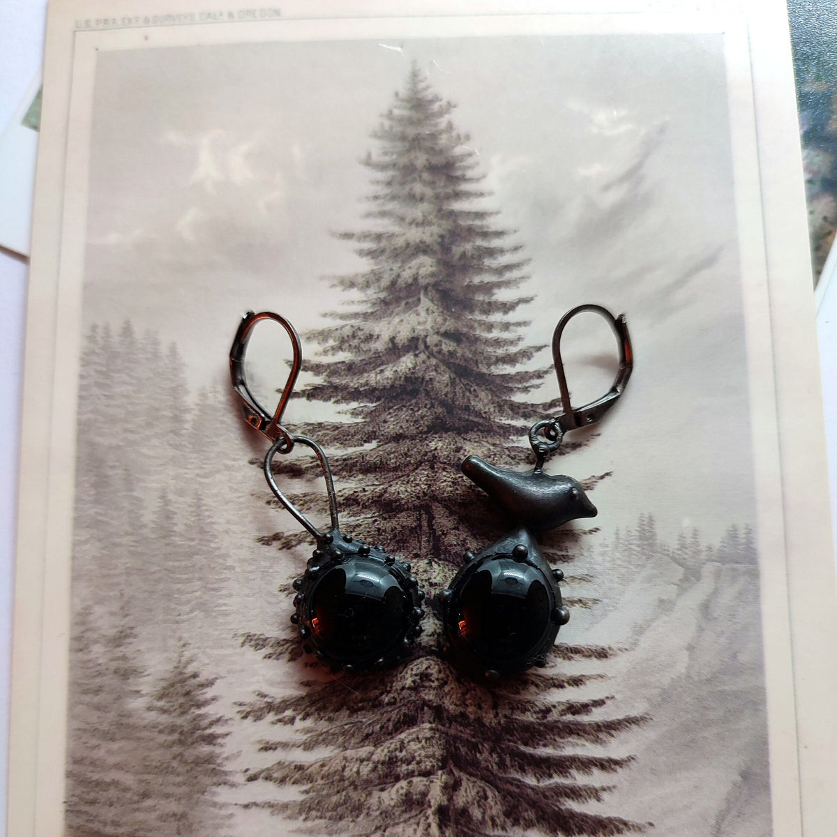 Black Glass Asymmetrical Bird Earrings – Blackened Copper